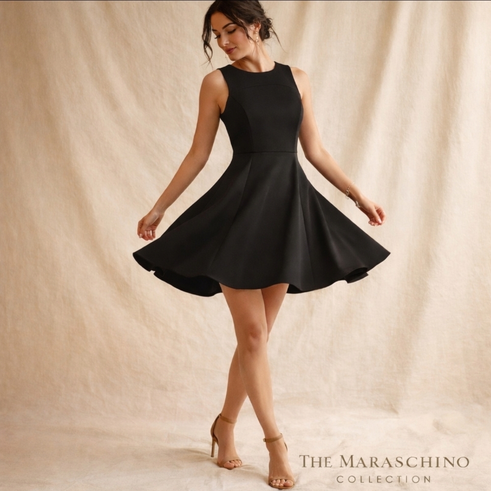 Harve Benard Minimalist Chic Skater Dress | L